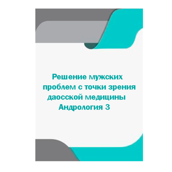 галерея 29